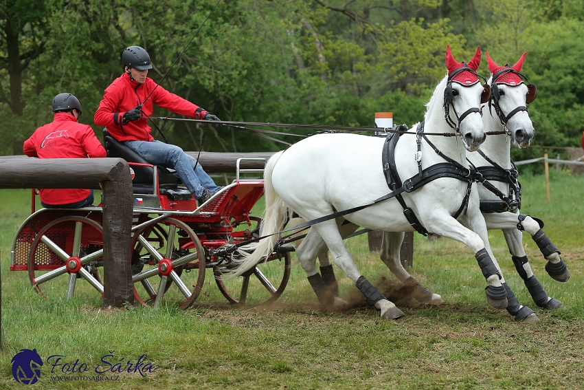 Kladruby 2019 - sobota - maraton