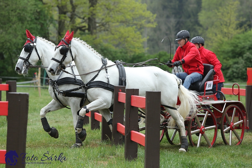 Kladruby 2019 - sobota - maraton