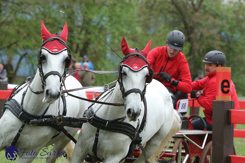 Kladruby 2019 - sobota - maraton