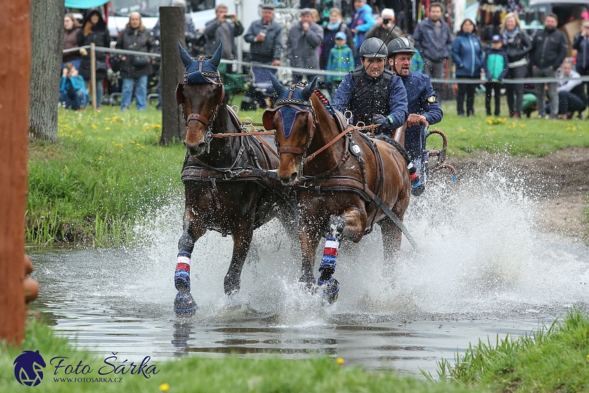 Kladruby 2019 - sobota - maraton