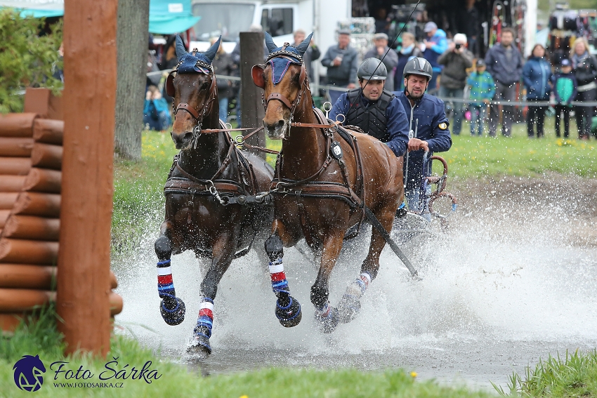 Kladruby 2019 - sobota - maraton