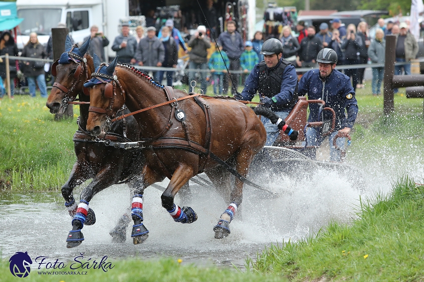 Kladruby 2019 - sobota - maraton