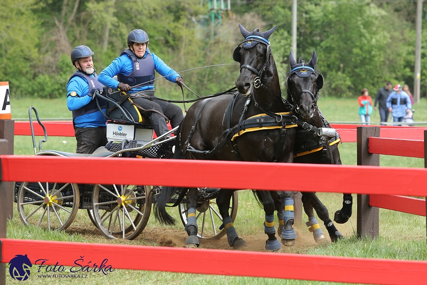 Kladruby 2019 - sobota - maraton