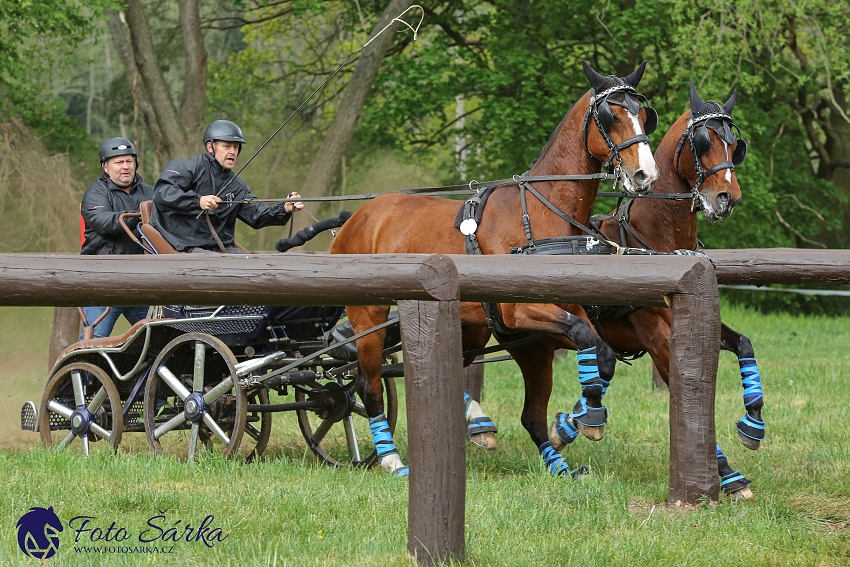 Kladruby 2019 - sobota - maraton