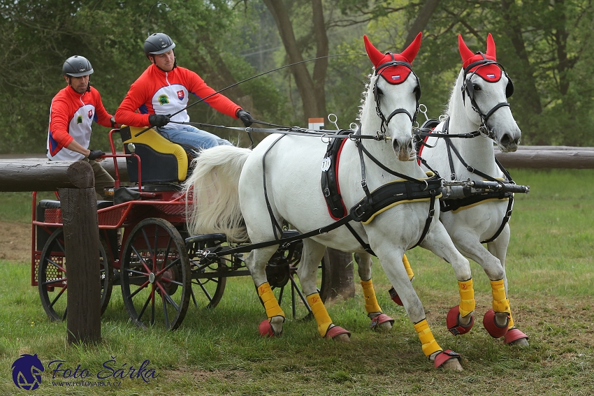 Kladruby 2019 - sobota - maraton