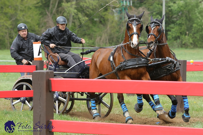 Kladruby 2019 - sobota - maraton