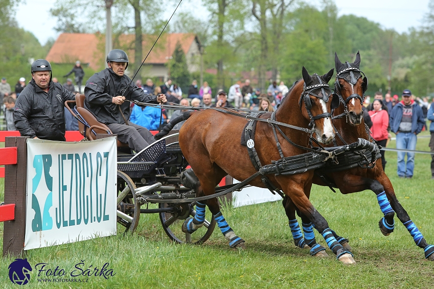Kladruby 2019 - sobota - maraton