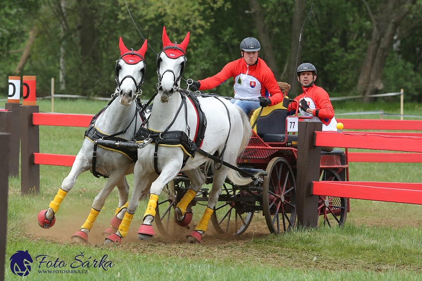 Kladruby 2019 - sobota - maraton