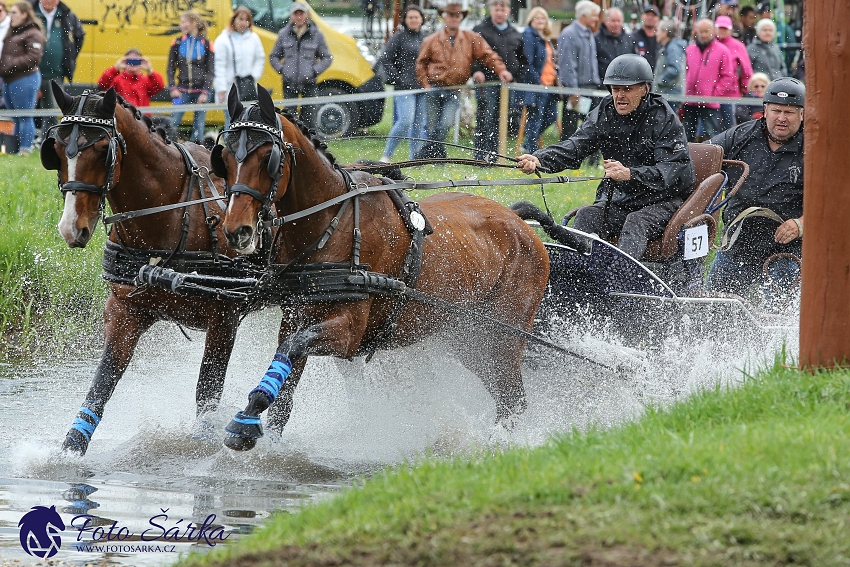 Kladruby 2019 - sobota - maraton