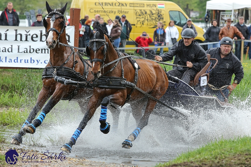 Kladruby 2019 - sobota - maraton