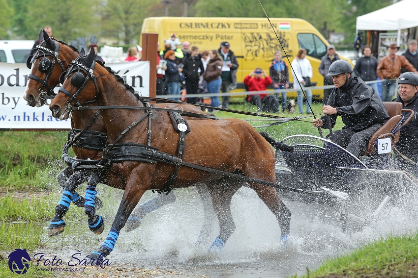 Kladruby 2019 - sobota - maraton