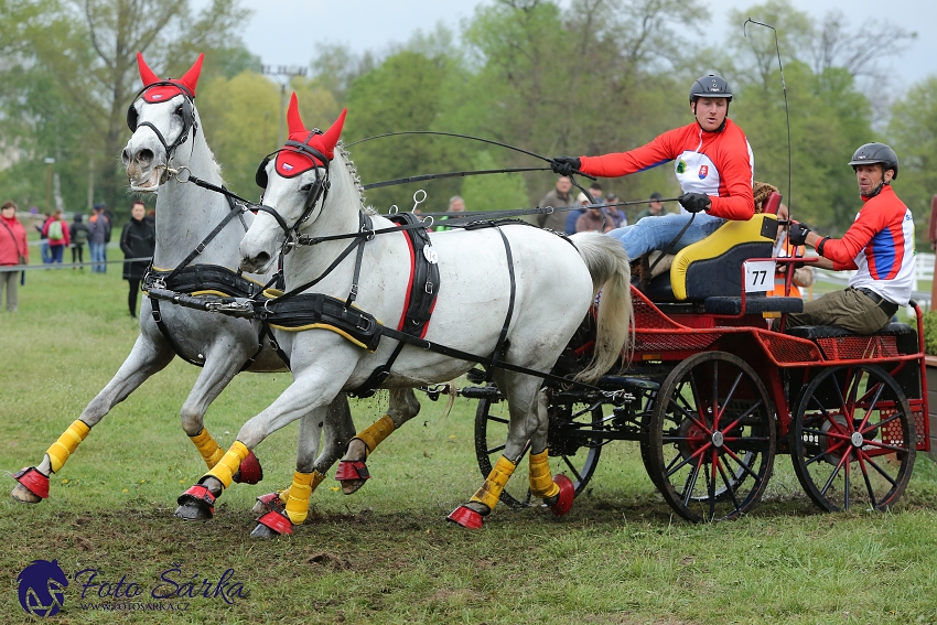 Kladruby 2019 - sobota - maraton