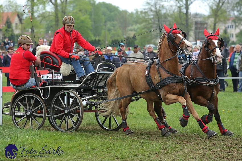 Kladruby 2019 - sobota - maraton