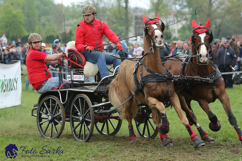 Kladruby 2019 - sobota - maraton