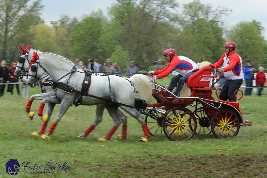 Kladruby 2019 - sobota - maraton