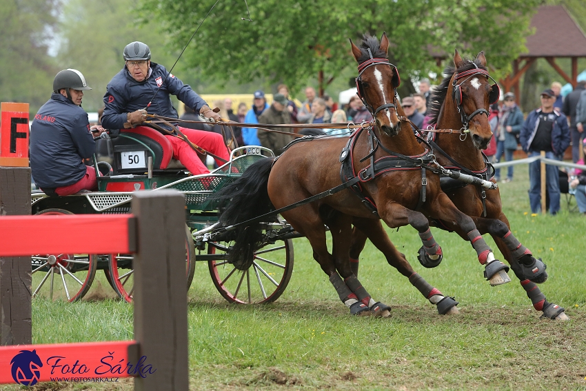 Kladruby 2019 - sobota - maraton