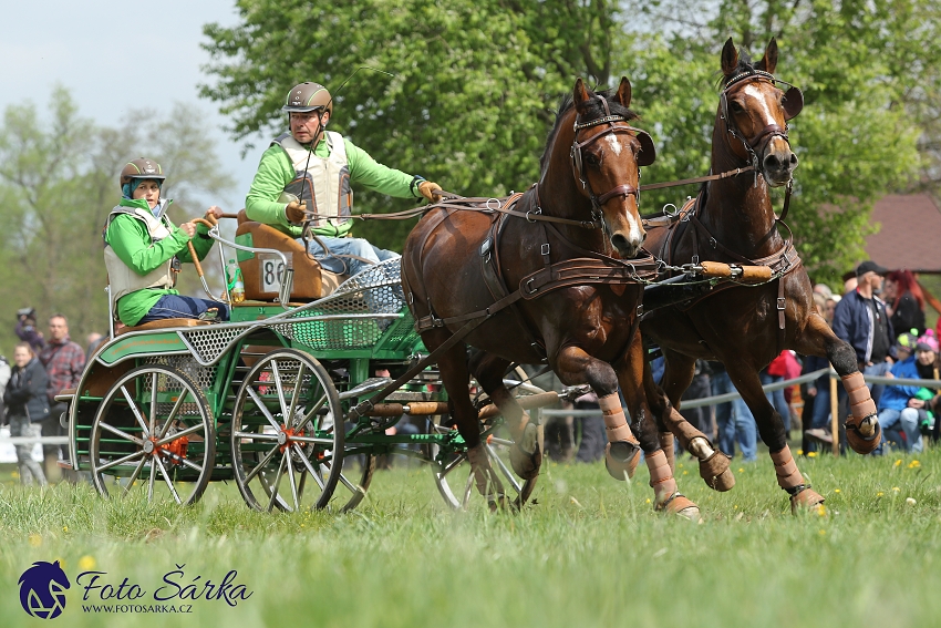 Kladruby 2019 - sobota - maraton