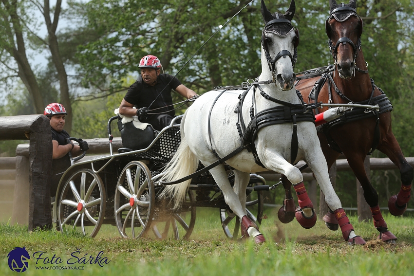 Kladruby 2019 - sobota - maraton