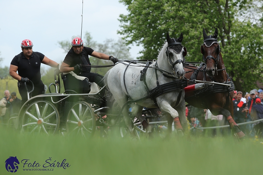 Kladruby 2019 - sobota - maraton