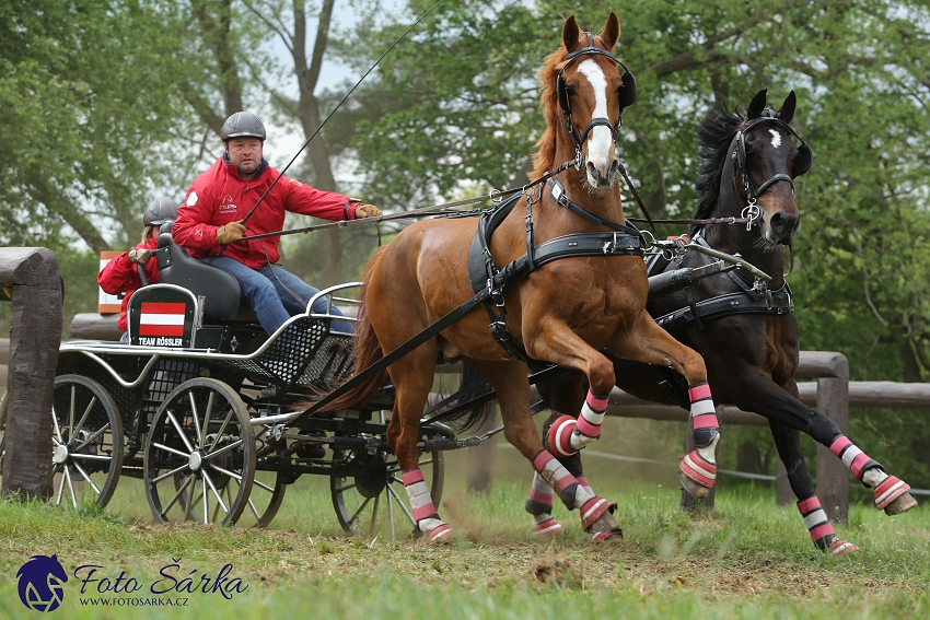 Kladruby 2019 - sobota - maraton