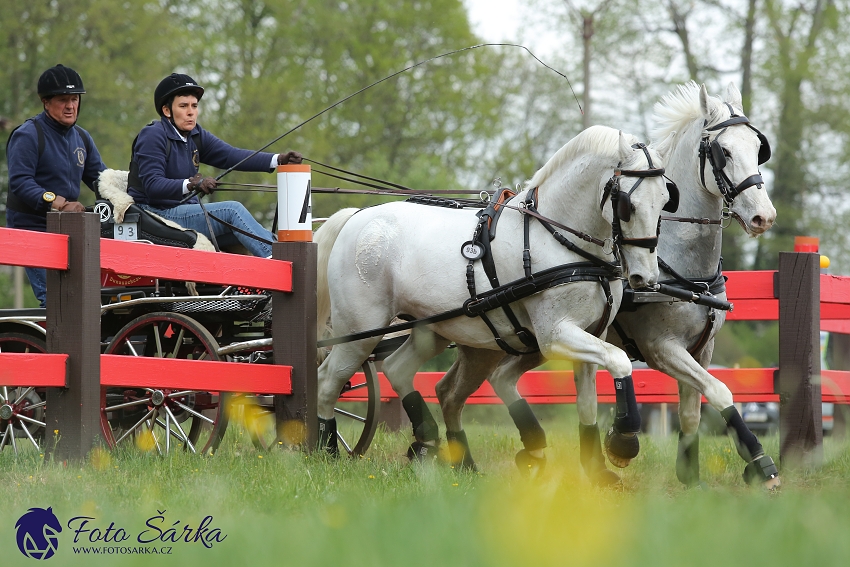 Kladruby 2019 - sobota - maraton