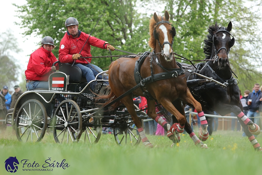 Kladruby 2019 - sobota - maraton