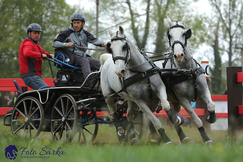 Kladruby 2019 - sobota - maraton