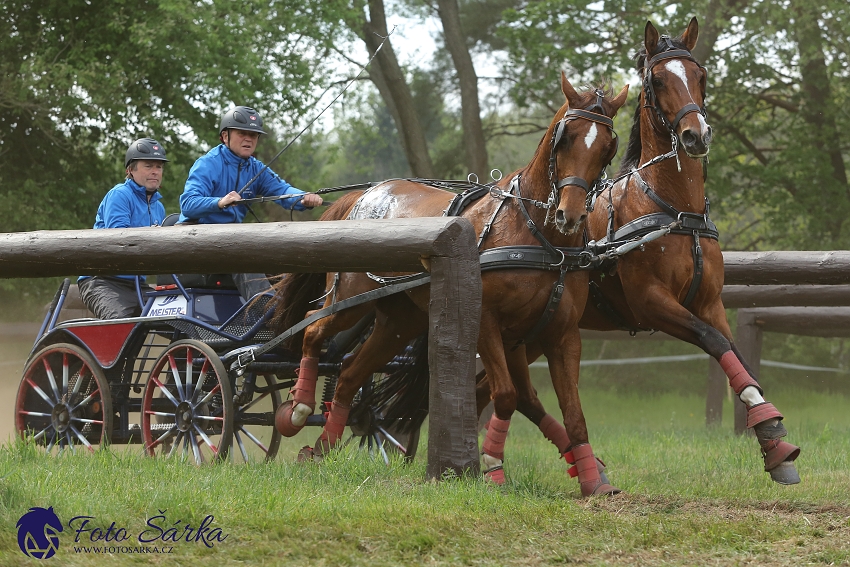 Kladruby 2019 - sobota - maraton