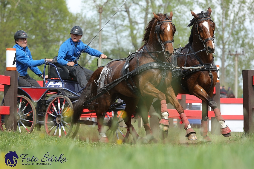 Kladruby 2019 - sobota - maraton