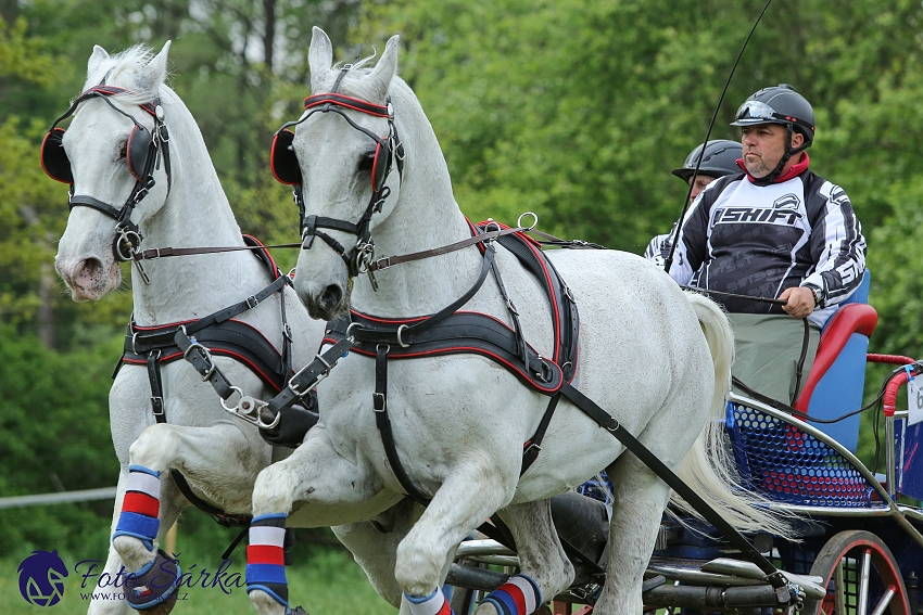 Kladruby 2019 - sobota - maraton