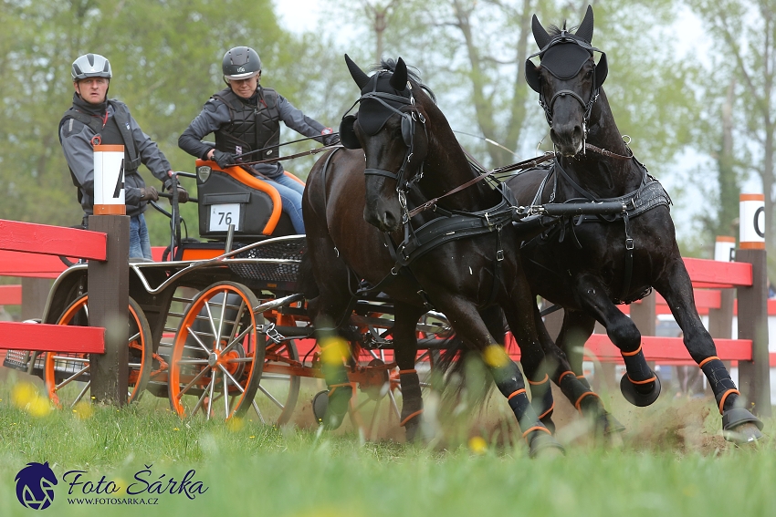 Kladruby 2019 - sobota - maraton