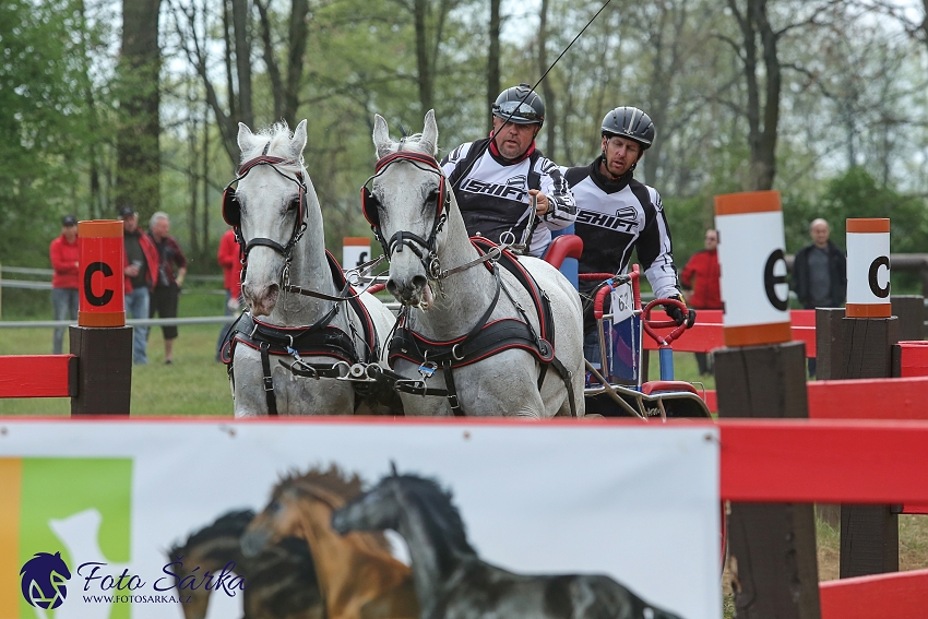 Kladruby 2019 - sobota - maraton