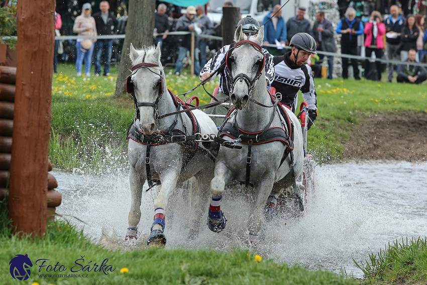 Kladruby 2019 - sobota - maraton