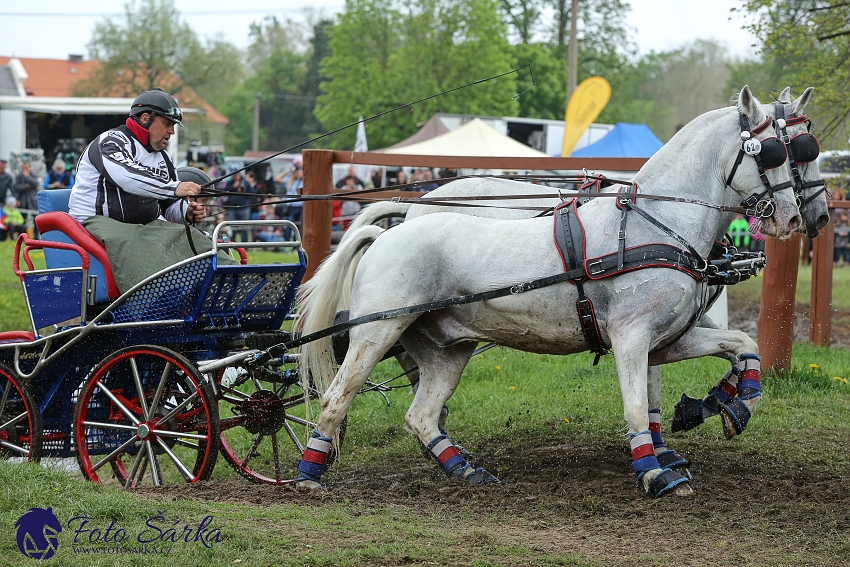 Kladruby 2019 - sobota - maraton