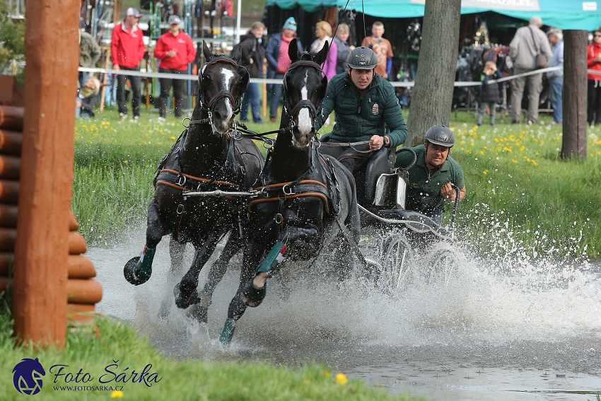 Kladruby 2019 - sobota - maraton