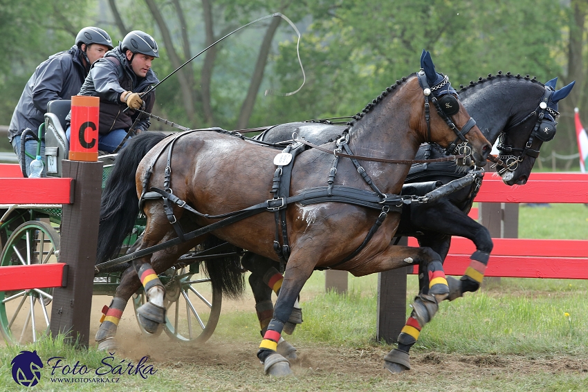 Kladruby 2019 - sobota - maraton