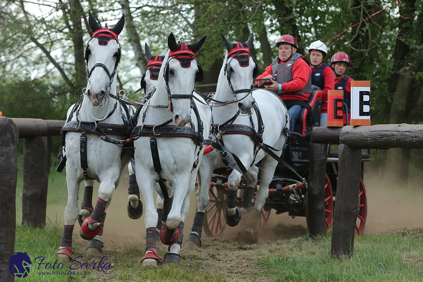 Kladruby 2019 - sobota - maraton