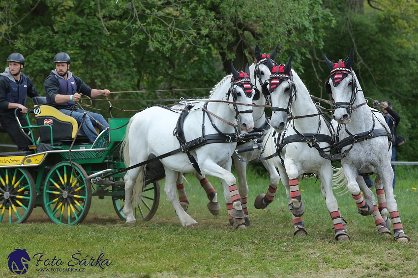 Kladruby 2019 - sobota - maraton