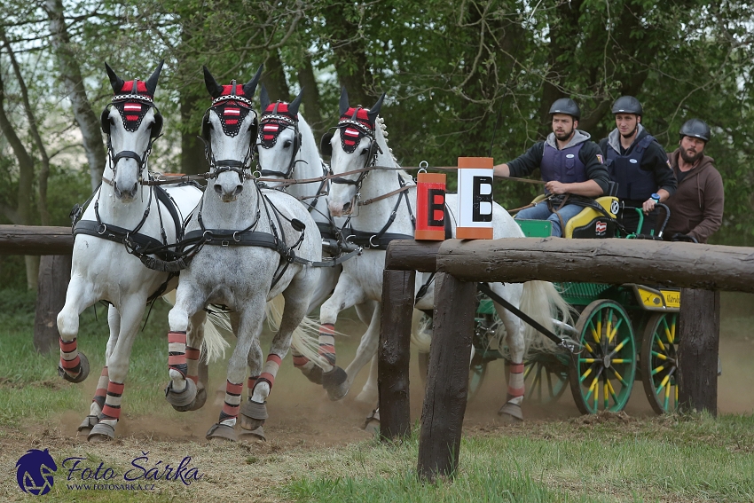 Kladruby 2019 - sobota - maraton