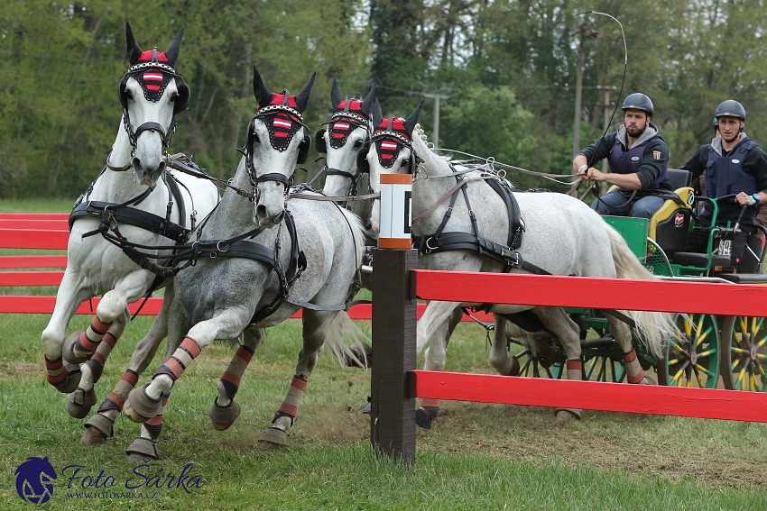 Kladruby 2019 - sobota - maraton