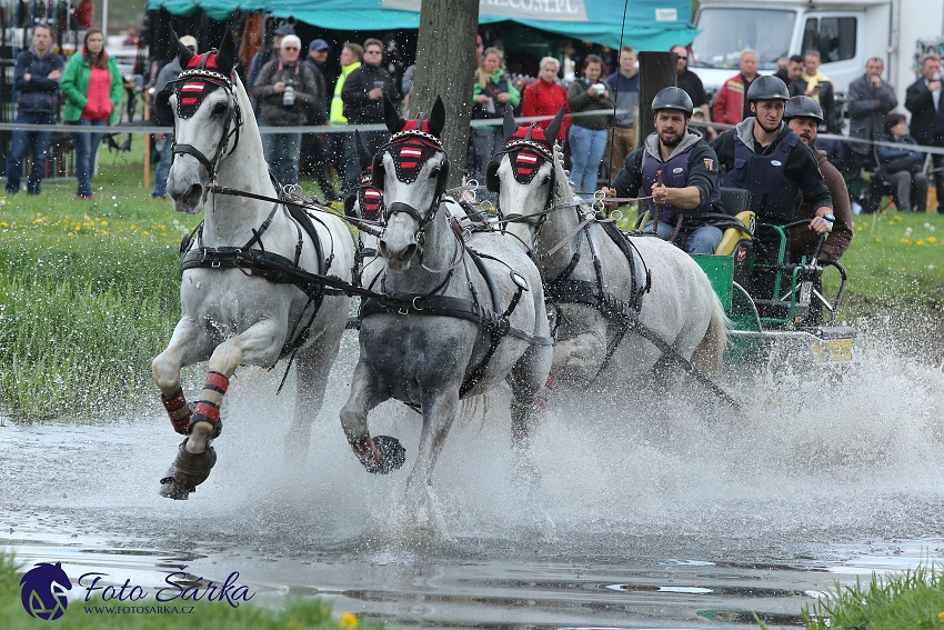 Kladruby 2019 - sobota - maraton