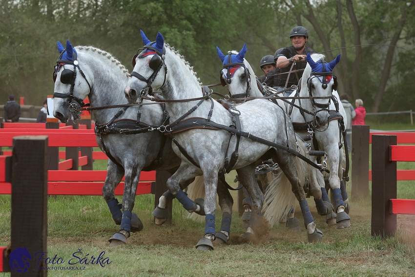 Kladruby 2019 - sobota - maraton