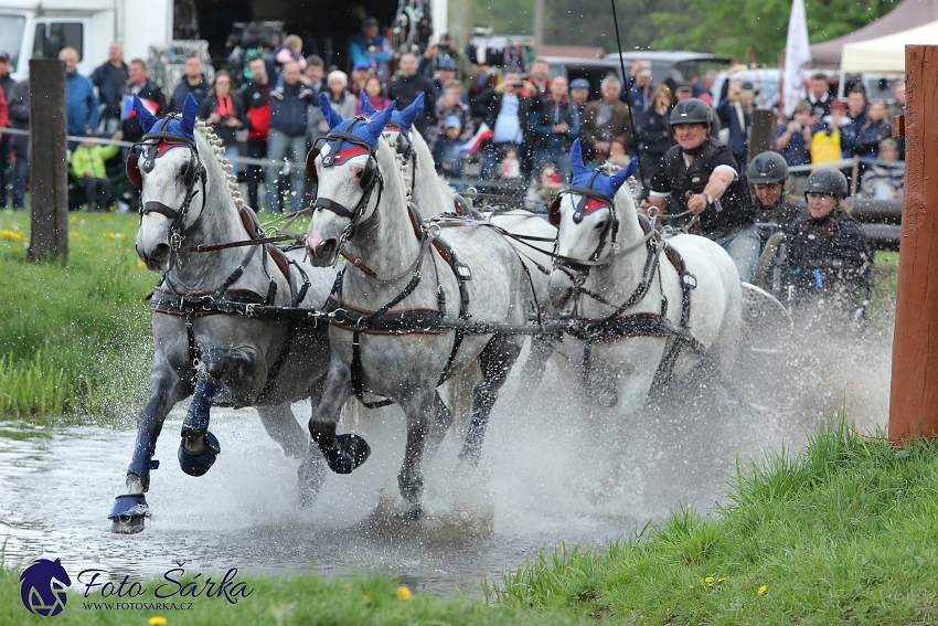 Kladruby 2019 - sobota - maraton