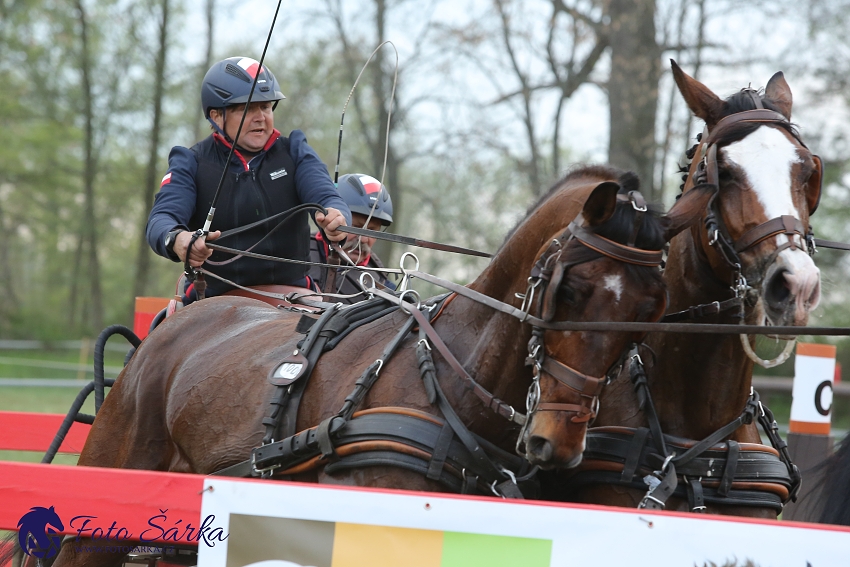 Kladruby 2019 - sobota - maraton