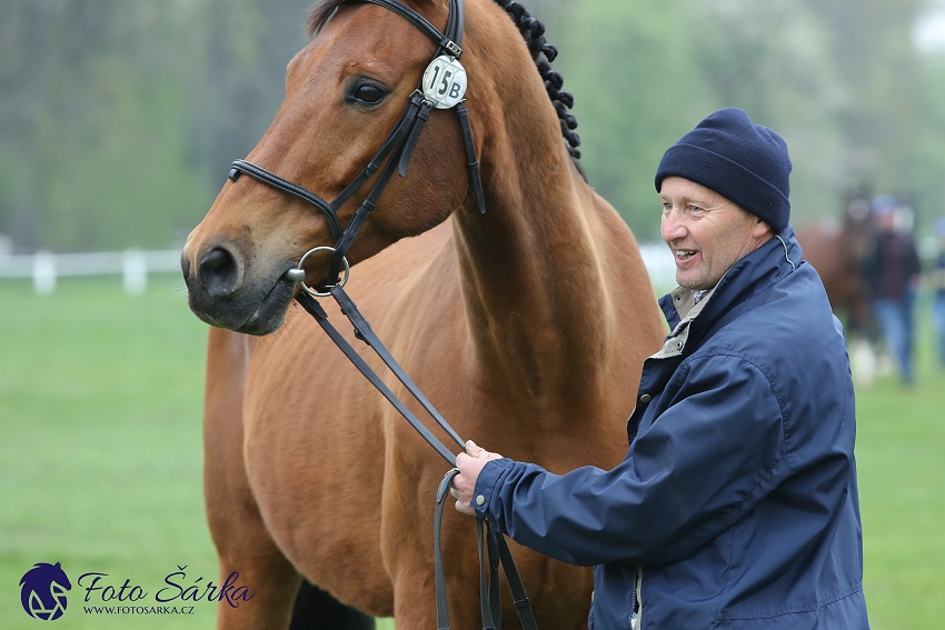 Kladruby 2019 - středa