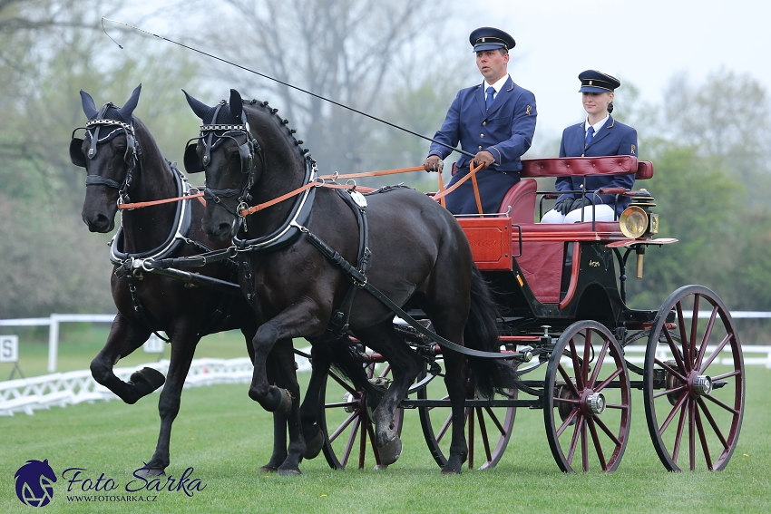 Kladruby 2019 - středa