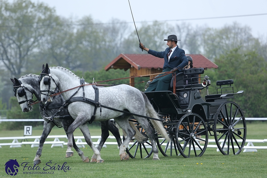 Kladruby 2019 - středa