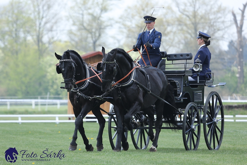 Kladruby 2019 - středa