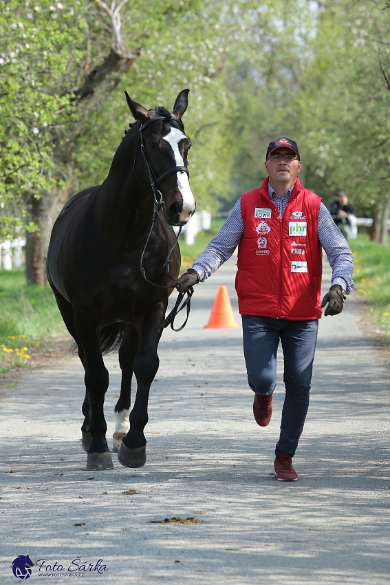 Kladruby 2019 - středa