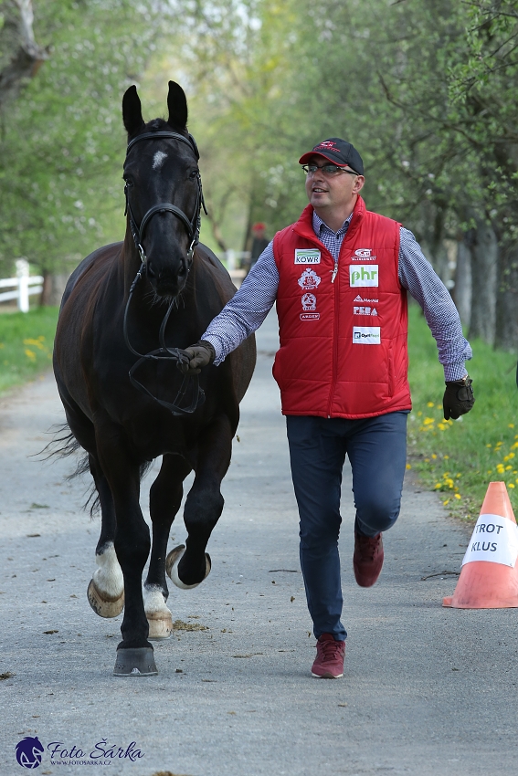 Kladruby 2019 - středa